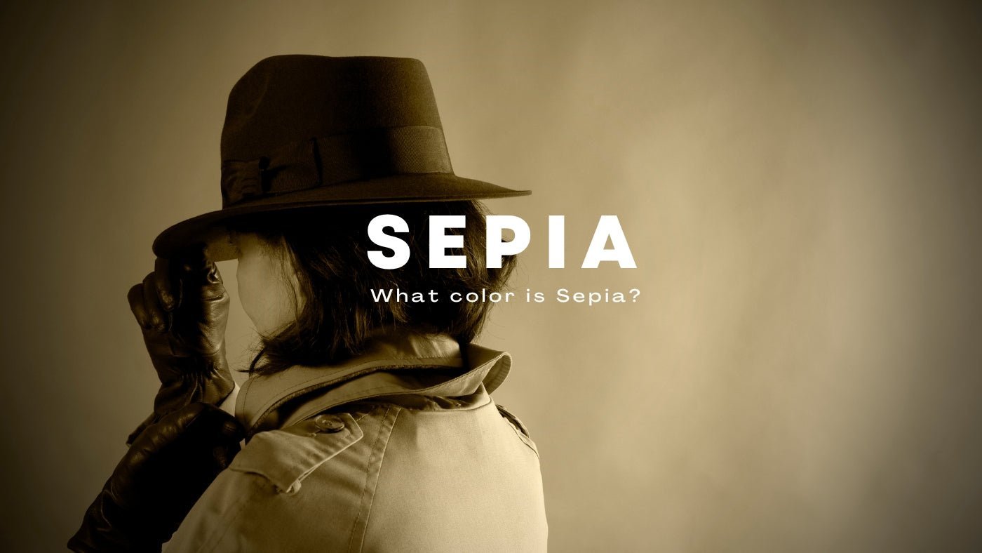 セピアは何色ですか？ - セピアの理解 壁アート トーン – Dan Kosmayer