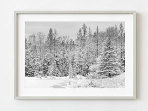 Early snowfall Northern Ontario forest by the pond | Photo Art Print fine art photographic print