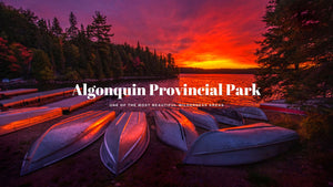 Algonquin Provincial Park Photos