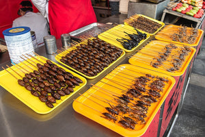 Unbelievable Chinese Bug Market in China - Dan Kosmayer Photography