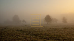 Photographer taking photos in fog capturing a serene misty landscape with diffused light and subtle tones
