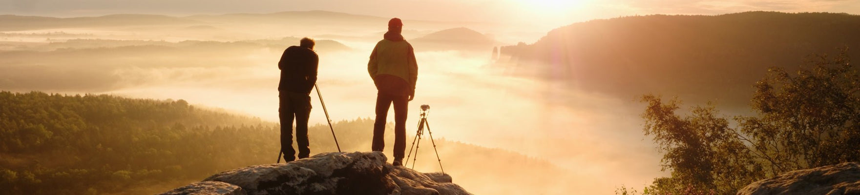 Workshops & Training