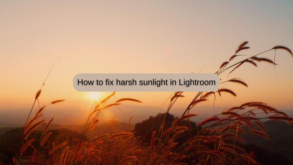 Editing a photo in Adobe Lightroom to fix harsh sunlight with highlight and shadow adjustments Title: How to Fix Harsh Sunlight in Lightroom