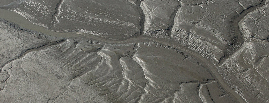 The Best Landscape Framed Prints to Elevate Your Home Decor