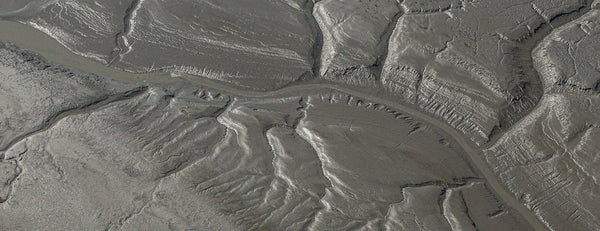 Landscape Framed Prints to Bring the Outdoors Into Your Home