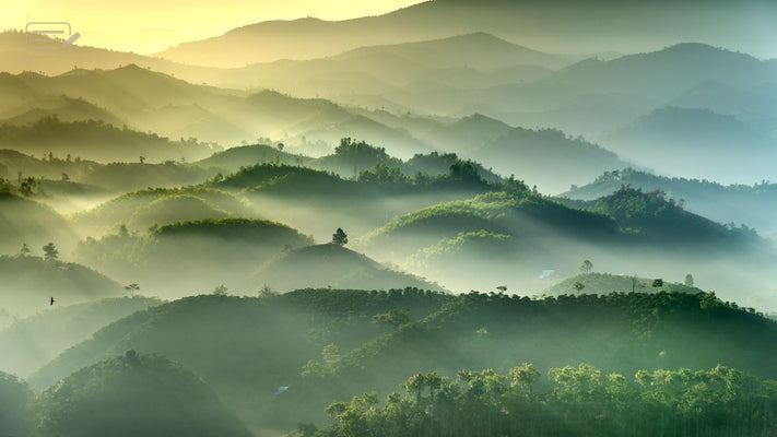 Amazing Scenery Photography