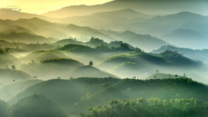 Golden light and mist between layers of green hills, with distant ridges fading into blue-grey haze.