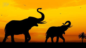 Elephants in the Serengeti