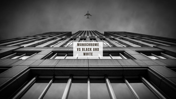 Monochrome vs. Black and White: Understanding the Difference