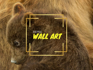 Animal Wall Art Gallery: Nature’s Wonder