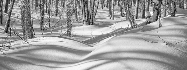 Solitude Photography Collection