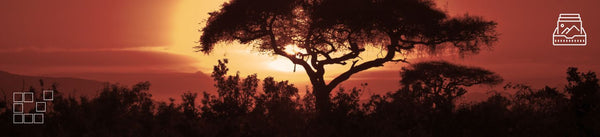 Africa Wall Art - Dan Kosmayer Fine Art Photography