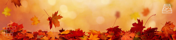 Autumn Wall Art - Dan Kosmayer Fine Art Photography