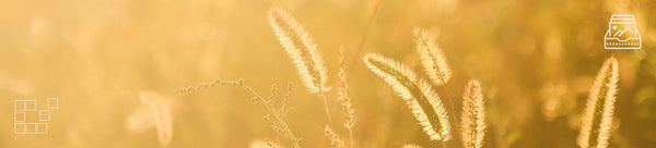 Beautiful Wall Art - Dan Kosmayer Fine Art Photography