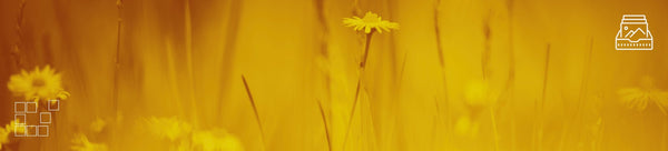 Dreamy Wall Art - Dan Kosmayer Fine Art Photography