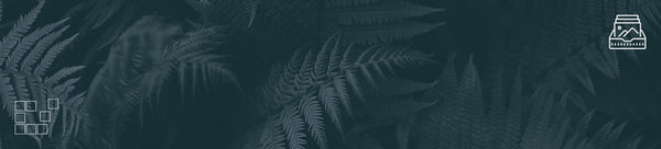 Fern Leaf Wall Art Collection