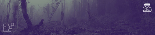 Ghost Wall Art - Dan Kosmayer Fine Art Photography