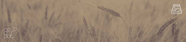 Grain Wall Art - Dan Kosmayer Fine Art Photography