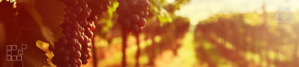 Harvest Wall Art - Dan Kosmayer Fine Art Photography