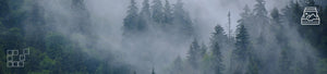 Misty Mountain Wall Art - Dan Kosmayer Fine Art Photography