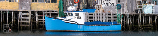 Newfoundland Wall Art Featuring Rugged Atlantic Coastlines and Scenic Island Landscapes