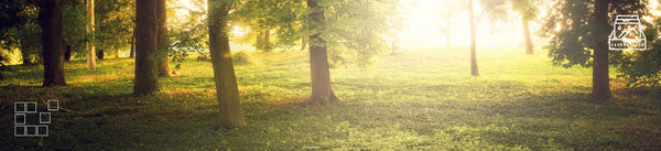 Park Wall Art - Dan Kosmayer Fine Art Photography