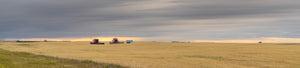 Prairies Images Collection - Dan Kosmayer Fine Art