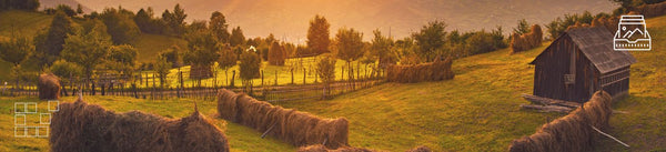 Romanian Wall Art - Dan Kosmayer Fine Art Photography