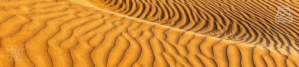 Sand Dunes Wall Art - Dan Kosmayer Fine Art Photography