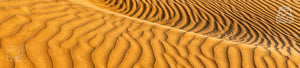 Sand Dunes Wall Art - Serene, Graceful Landscapes for Tranquility