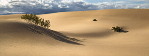 Sand Photography Collection - Dan Kosmayer Photography