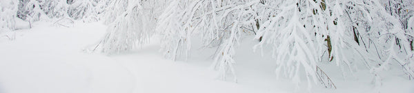 Snow Photography Collection - Dan Kosmayer Photography