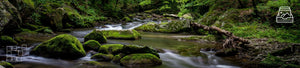 Stream Wall Art - Dan Kosmayer Fine Art Photography