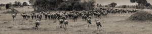 Tanzania Photography Collection - Dan Kosmayer Photography