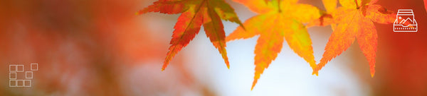 Vibrant Wall Art - Dan Kosmayer Fine Art Photography