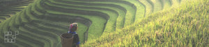 vietnam wall art collection featuring fine art photographs from across Vietnam