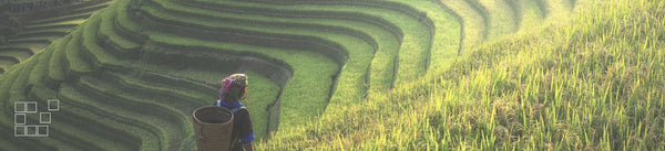 vietnam wall art collection featuring fine art photographs from across Vietnam
