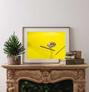 Bright yellow hood with reflective metal badge, pin and small surface shadows