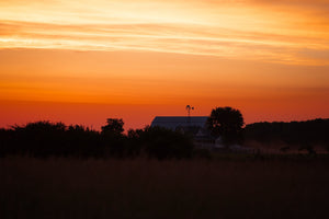 Colour photograph of a rural farmhouse and trees against a glowing morning sky.