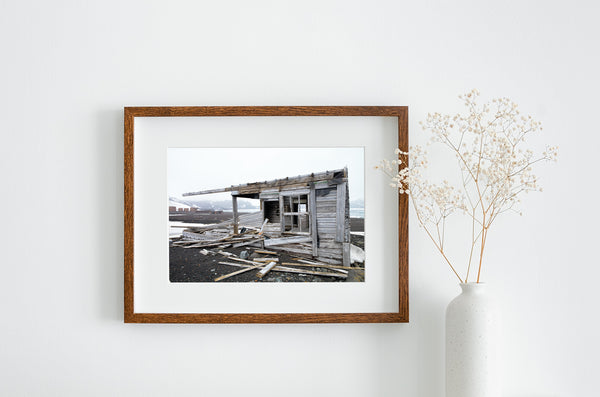 Abandoned Antarctic Cabin at Whalers Bay Station Amidst Untamed Nature fine art photographic print