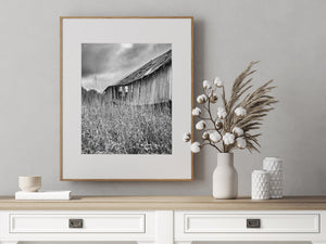 Abandoned Barn in Ontario Landscape | Photo Art Print fine art photographic print