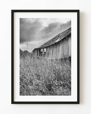 Abandoned Ontario barn surrounded by tall grass beneath heavy clouds, black and white
