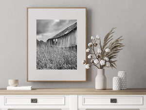 Granero abandonado en el paisaje de Ontario | Foto Impresión de arte Fine Art impresión fotográfica