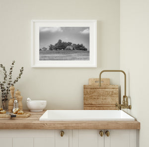 Black and white rural landscape with an old farmhouse and tall grasses