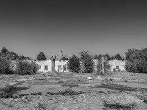 Two bare trunks stand before a low weathered motel across rough open ground