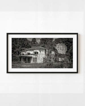 Abandoned South Carolina café and faded roadside sign surrounded by overgrowth in black and white.