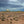 Square colour landscape photograph of an isolated schoolhouse in open desert.