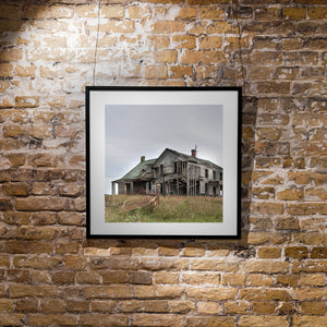 Rustic Indiana farmhouse in desolate landscape
