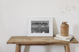 A slender curved tree trunk supports a wide canopy beside a mountain road in India.