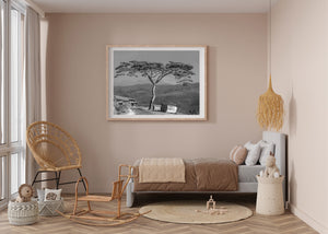 Fine acacia branches spread above small roadside stalls with layered hills beyond.